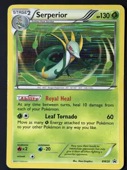Serperior BW20 Black & White Black Star Promo Holo Pokemon Card MP - Image 1