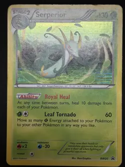 Serperior BW20 Black & White Black Star Promo Holo Pokemon Card MP - Image 2