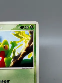 Treecko 037/PCG-P Promo Yokohama Center Opening Japanese Pokemon Card LP - Image 5