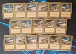 WCD Brian Hacker World Championship Deck Seattle 1998 MTG - Image 2