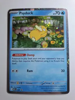 Pokemon - Psyduck - MEP007 - Black Star Promo - Holo - NM - Image 4