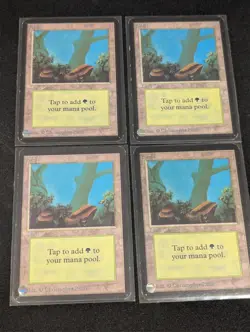 Forest x4 - Alpha - Land - LP - MTG - Magic the Gathering - Basic Land - Image 1