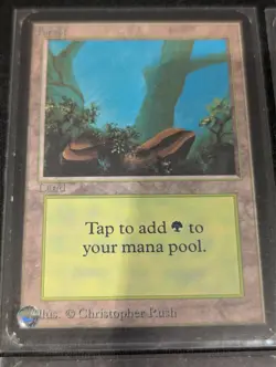 Forest x4 - Alpha - Land - LP - MTG - Magic the Gathering - Basic Land - Image 2