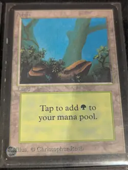 Forest x4 - Alpha - Land - LP - MTG - Magic the Gathering - Basic Land - Image 3