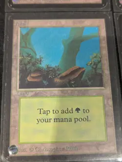 Forest x4 - Alpha - Land - LP - MTG - Magic the Gathering - Basic Land - Image 4