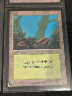 Forest x4 - Alpha - Land - LP - MTG - Magic the Gathering - Basic Land - Image 5