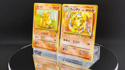 1999 Pokemon Growlithe & Arcanine - Squirtle Deck VHS (Intro Pack) Japanese - Image 2