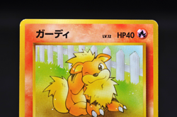 1999 Pokemon Growlithe & Arcanine - Squirtle Deck VHS (Intro Pack) Japanese - Image 3