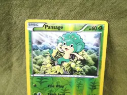 Pokemon Trading Card - XY: Pansage Reverse Holo 10/146 - Image 2