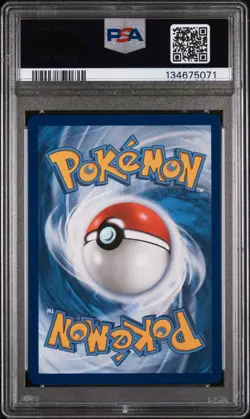 2025 Pokemon Mega Evolution Gumshoos 153/132 Illustration Rare PSA 9 - Image 2