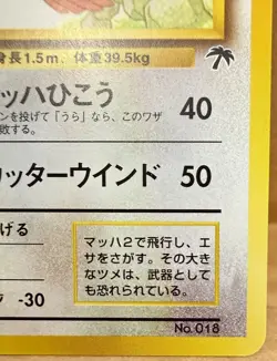 Pidgeot No. 018 Japanese Southern Islands Promo 1999 Vintage Pokemon TCG NM - Image 4