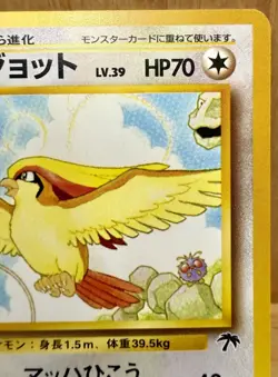 Pidgeot No. 018 Japanese Southern Islands Promo 1999 Vintage Pokemon TCG NM - Image 5