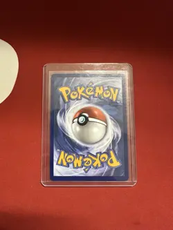 Black Belts Training 255/217 IR - Pokemon TCG: Ascended Heroes English - Image 2
