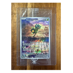 Pokemon TCG - Teal Mask Ogerpon 123 - Scarlet & Violet Black Star Promo SEALED - Image 1