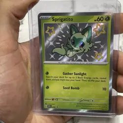 Pokemon Sprigatito SVP 076 Black Star Promo Holo NM/MT Nintendo Card TCG 2024 - Image 1