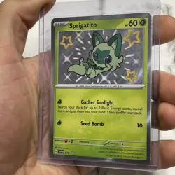Pokemon Sprigatito SVP 076 Black Star Promo Holo NM/MT Nintendo Card TCG 2024 - Image 2