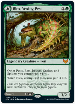 1x Blex, Vexing Pest / Search for Blex Strixhaven: School of Mages NM MTG - Image 1