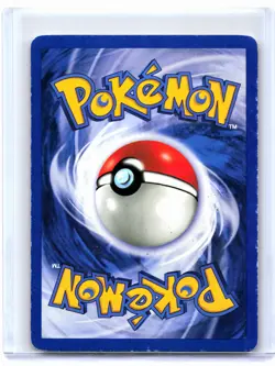 2000 Pokemon—Venusaur #13 WoTC Promos—Black Star Promo Holo [Damaged] - Image 2