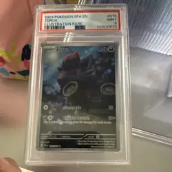 Pokemon Zorua 075/064 Sv: Shrouded Fable Illustration Rare PSA 9 2024 Holo - Image 1