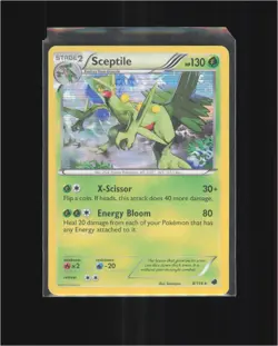 Sceptile 8/116 Holo Rare Plasma Freeze Pokemon TCG Lightly Played - Image 1
