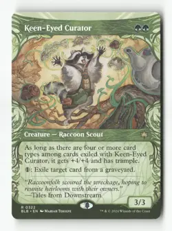 Keen-Eyed Curator - #322 - Non Foil - MTG - Near Mint - Image 1