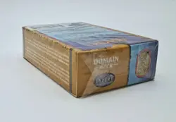 MTG Magic Planeshift DOMAIN Theme Preconstructed Deck ~ Factory SEALED - Image 3