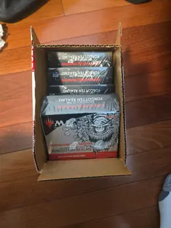 MTG Adventures in Forgotten Realms Collector Booster Case - Image 1