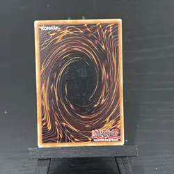 Reload - SD1-EN019 - 1st Edition - Yugioh - Image 2