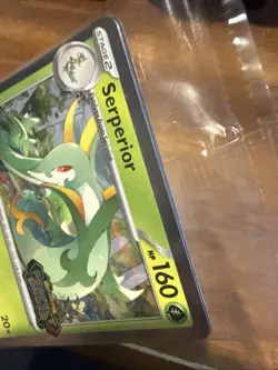 Pokemon TCG Perfect Order Prerelease Promo STAFF Sealed Pack Serperior - Image 5