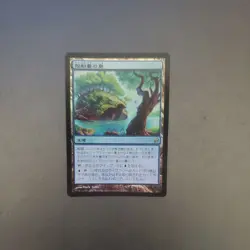 MTG Island of the Shell Japanese Foil LRW Single Card - Image 1