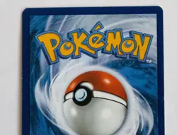 2023 Basic Charmander Pokemon Card-#044-SVP EN-Black Star Promo-EX - Image 5