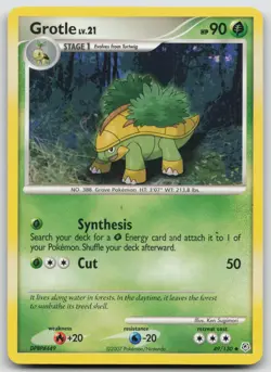 Grotle 49/130 Diamond and Pearl Uncommon Pokemon TCG Card - Image 1