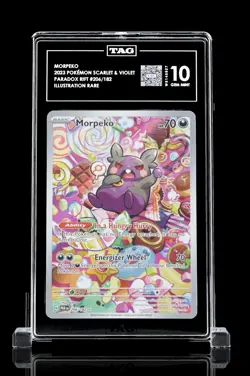 Morpeko Pokemon Paradox Rift #206/182 Illustration Rare TAG Graded 10 - Image 1