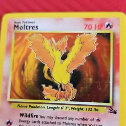 Pokemon Legendary Birds Trio Articuno Holo Moltres Holo Zapdos Non-Holo 1999 NM - Image 3