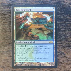 Wizards of the Coast Breeding Pool Gatecrash Rare Land Regular 240 2013 - Image 1
