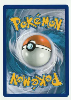 Mudkip 19/25 - McDonald's 2021 - 25th Anniversary - Holo - Pokemon TCG - Image 2