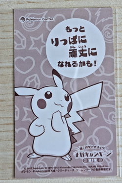 2015 Pokemon XY Promo Business Card Pikachu Mega Sableye Yamirami Poncho Japan - Image 2