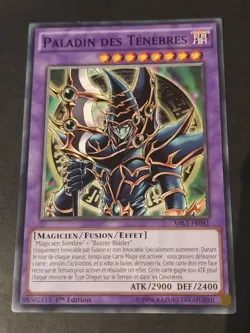 Yu-Gi-Oh ! - Paladin des Tenebres - MIL1-FR041 - Commune - Image 1