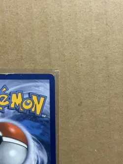 2015 Pokemon XY Promo Black Star Promo Holo Chespin XY88 - Image 4