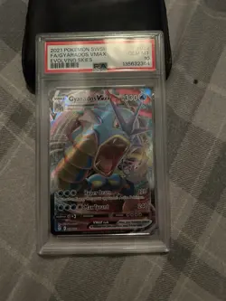 Pokemon TCG Gyarados VMAX 029/203 Ful Art Holo Rare Evolving Skies - Image 1