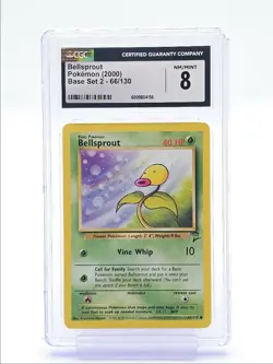 BELLSPROUT 2000 POKEMON BASE SET 2 COMMON 66/130 CGC 8 Q6438 - Image 1