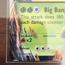 Pokemon M Heracross EX TCG 5/111 XY Furious Fists Holo Ultra Rare - Image 5