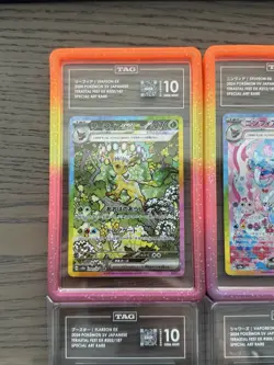 TAG 10 Eeveelution SAR Set (9 Cards) - Terastal Festival Japanese - Image 2