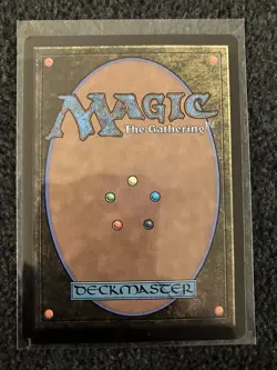 Magic The Gathering MTG - Traveling Chocobo (Borderless) - FIN - Image 2
