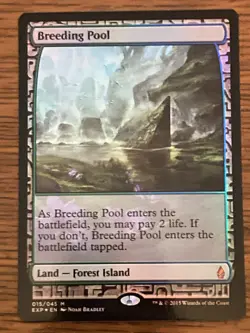 Breeding Pool FOIL - Zendikar Expeditions - NM - Magic The Gathering MTG - Image 1