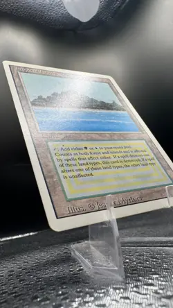 MTG: Revised - Tropical Island LP - Image 2