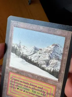 Taiga - Alpha - Magic the Gathering MTG - MP - Reserve List - Dual Land - Image 5