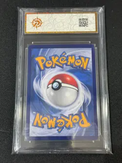 Pokemon TCG S-Chinese Sword & Shield Charizard V PROMO 164/S-P Holo Grade 10 - Image 2