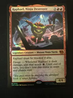 Raphael, Ninja Destroyer Teenage Mutant Ninja Turtles Foil - Image 1