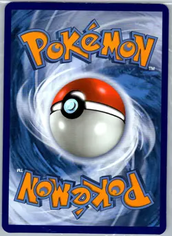 Torchic 74/109 25th Anniversary Celebrations First Partner Pack Jumbo Card NM - Image 2